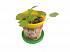 Набор для выращивания растений - Гибискус - Сумасшедшая роза  - миниатюра №1